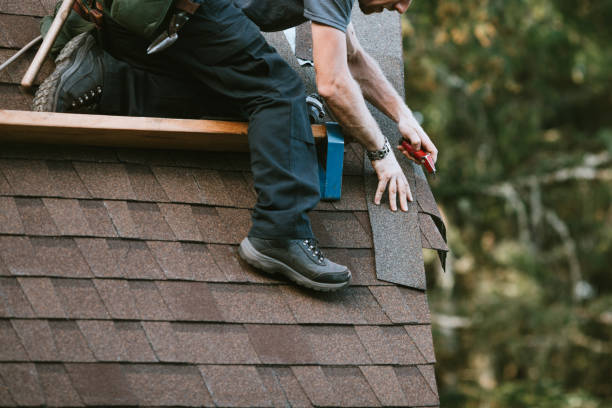 Best Gutter Installation and Roofing  in Gleason, TN